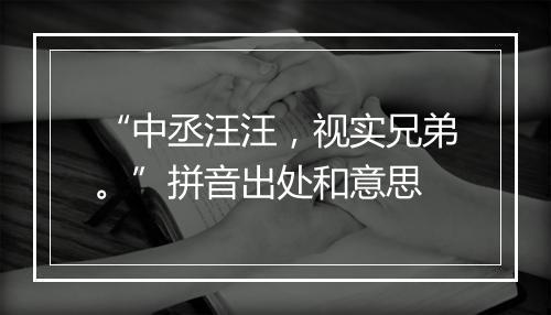 “中丞汪汪，视实兄弟。”拼音出处和意思