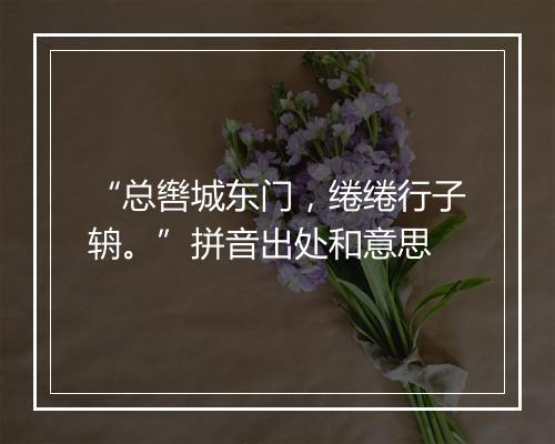 “总辔城东门，绻绻行子辀。”拼音出处和意思