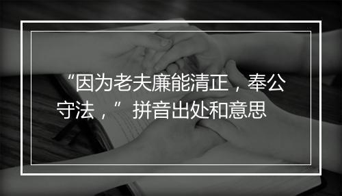 “因为老夫廉能清正，奉公守法，”拼音出处和意思