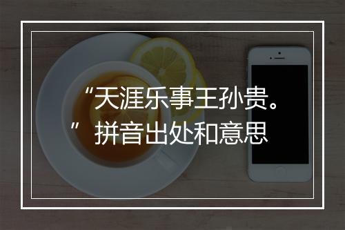 “天涯乐事王孙贵。”拼音出处和意思