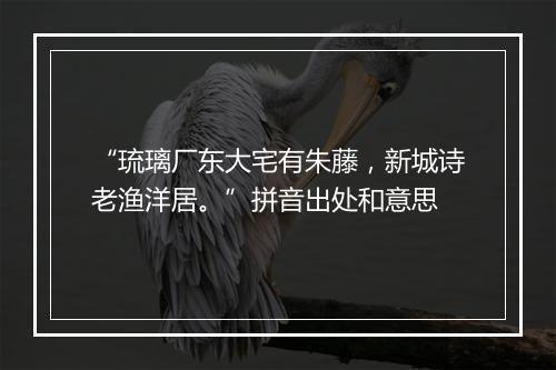 “琉璃厂东大宅有朱藤，新城诗老渔洋居。”拼音出处和意思