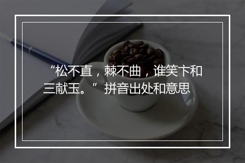 “松不直，棘不曲，谁笑卞和三献玉。”拼音出处和意思