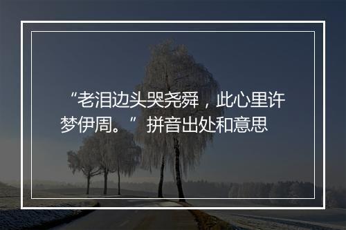 “老泪边头哭尧舜，此心里许梦伊周。”拼音出处和意思