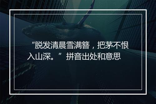 “脱发清晨雪满簪，把茅不恨入山深。”拼音出处和意思