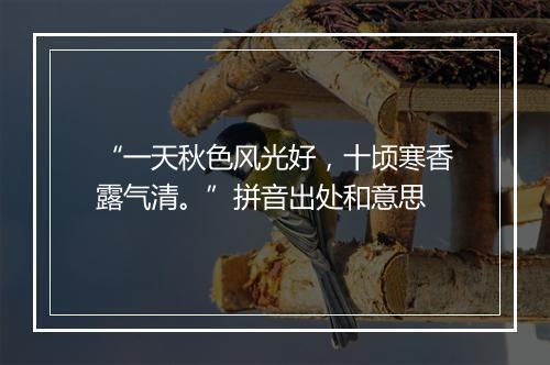 “一天秋色风光好，十顷寒香露气清。”拼音出处和意思