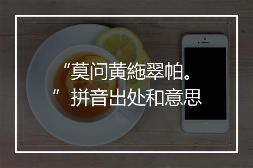 “莫问黄絁翠帕。”拼音出处和意思