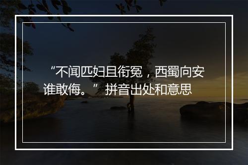 “不闻匹妇且衔冤，西蜀向安谁敢侮。”拼音出处和意思