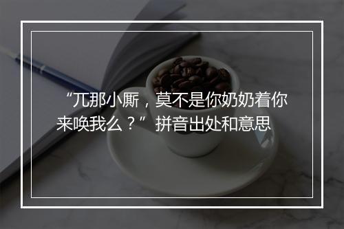 “兀那小厮，莫不是你奶奶着你来唤我么？”拼音出处和意思