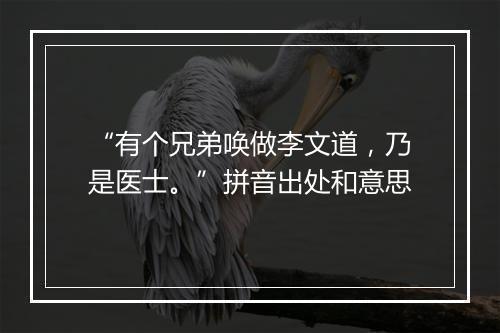 “有个兄弟唤做李文道，乃是医士。”拼音出处和意思