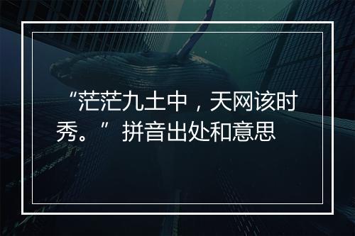 “茫茫九土中，天网该时秀。”拼音出处和意思