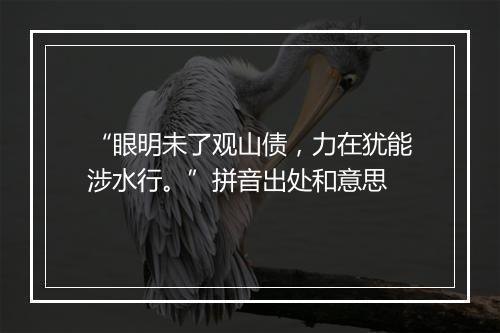 “眼明未了观山债，力在犹能涉水行。”拼音出处和意思