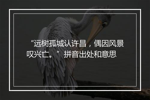 “远树孤城认许昌，偶因风景叹兴亡。”拼音出处和意思