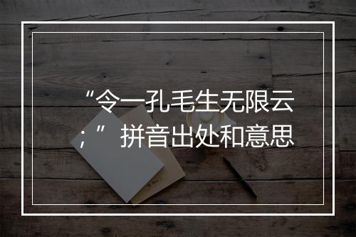 “令一孔毛生无限云；”拼音出处和意思