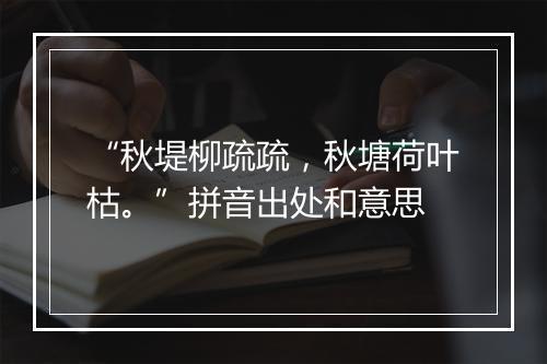 “秋堤柳疏疏，秋塘荷叶枯。”拼音出处和意思