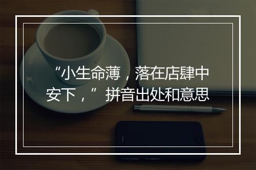 “小生命薄，落在店肆中安下，”拼音出处和意思