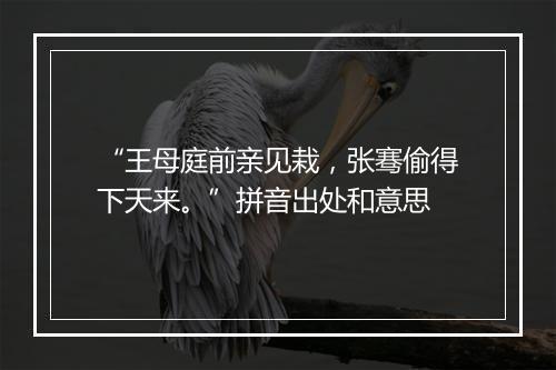 “王母庭前亲见栽，张骞偷得下天来。”拼音出处和意思