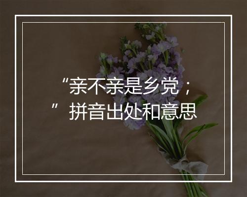 “亲不亲是乡党；”拼音出处和意思