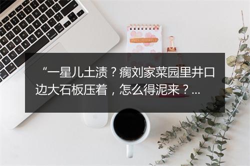 “一星儿土渍？瘸刘家菜园里井口边大石板压着，怎么得泥来？”拼音出处和意思