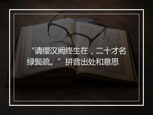 “请缨汉阙终生在，二十才名绿鬓疏。”拼音出处和意思