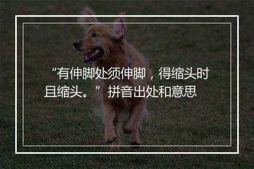 “有伸脚处须伸脚，得缩头时且缩头。”拼音出处和意思