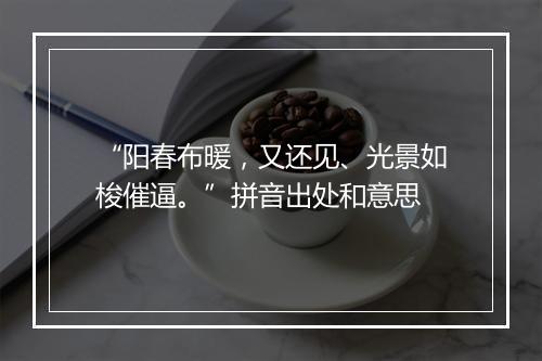 “阳春布暖，又还见、光景如梭催逼。”拼音出处和意思