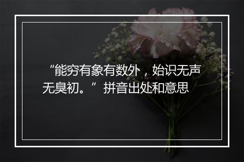 “能穷有象有数外，始识无声无臭初。”拼音出处和意思