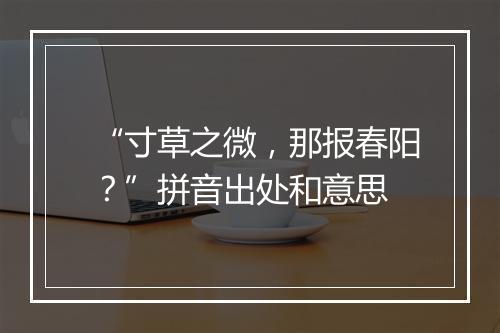 “寸草之微，那报春阳？”拼音出处和意思