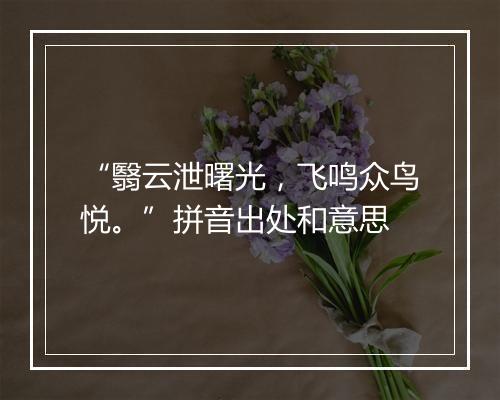 “翳云泄曙光，飞鸣众鸟悦。”拼音出处和意思