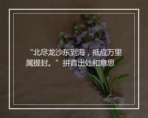 “北尽龙沙东到海，祗应万里属提封。”拼音出处和意思