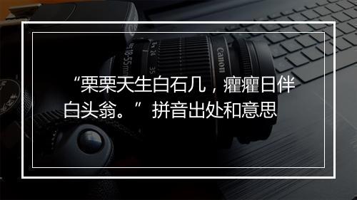 “栗栗天生白石几，癯癯日伴白头翁。”拼音出处和意思