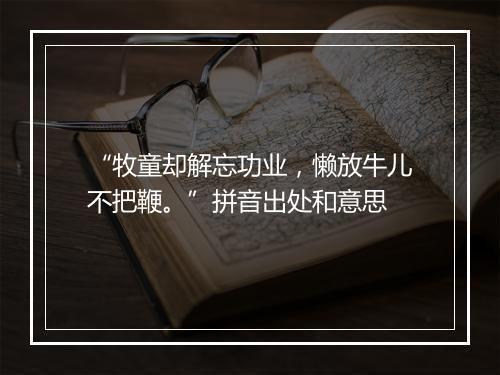 “牧童却解忘功业，懒放牛儿不把鞭。”拼音出处和意思