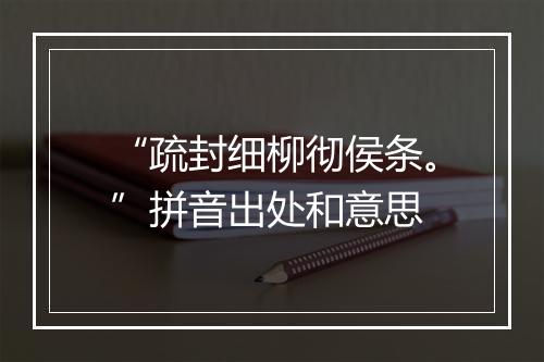 “疏封细柳彻侯条。”拼音出处和意思