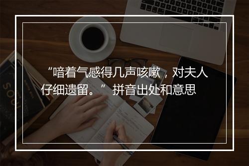 “喑着气感得几声咳嗽，对夫人仔细遗留。”拼音出处和意思