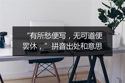 “有所愁便写，无可道便罢休，”拼音出处和意思