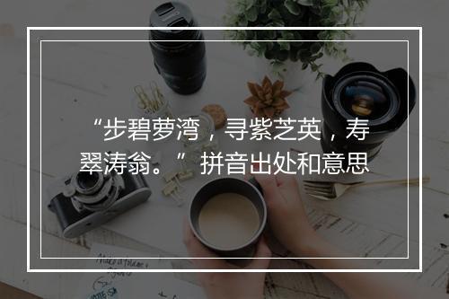 “步碧萝湾，寻紫芝英，寿翠涛翁。”拼音出处和意思