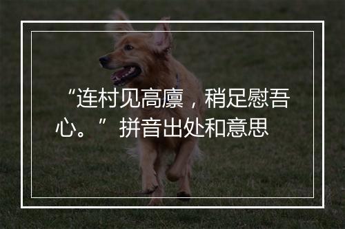 “连村见高廪，稍足慰吾心。”拼音出处和意思