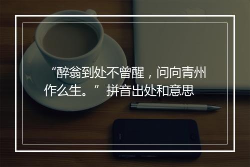 “醉翁到处不曾醒，问向青州作么生。”拼音出处和意思