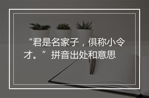 “君是名家子，俱称小令才。”拼音出处和意思