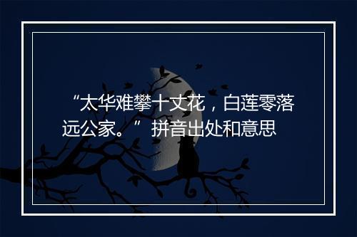 “太华难攀十丈花，白莲零落远公家。”拼音出处和意思