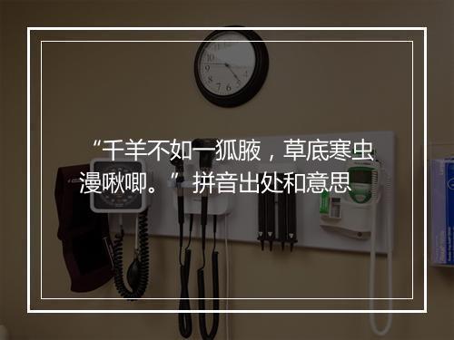 “千羊不如一狐腋，草底寒虫漫啾唧。”拼音出处和意思