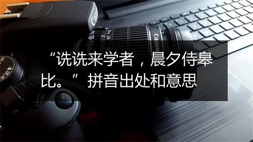 “诜诜来学者，晨夕侍皋比。”拼音出处和意思