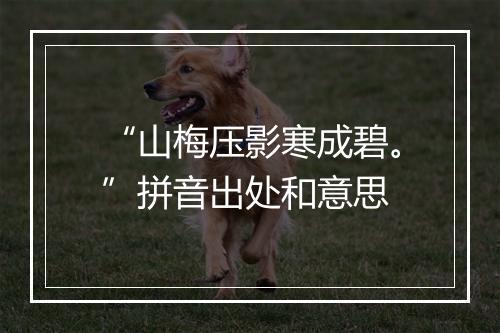 “山梅压影寒成碧。”拼音出处和意思