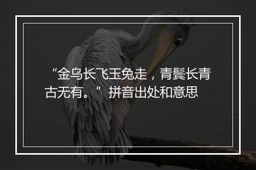 “金乌长飞玉兔走，青鬓长青古无有。”拼音出处和意思