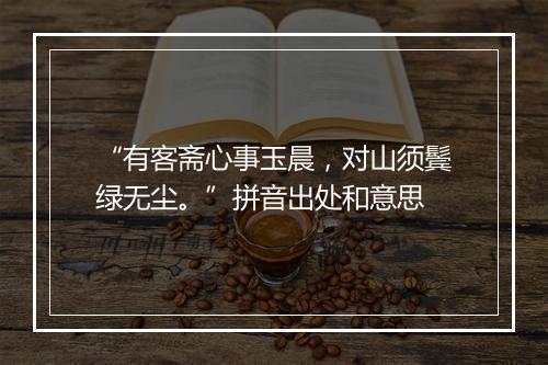 “有客斋心事玉晨，对山须鬓绿无尘。”拼音出处和意思