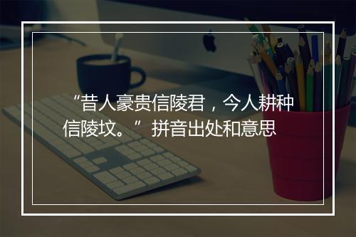 “昔人豪贵信陵君，今人耕种信陵坟。”拼音出处和意思