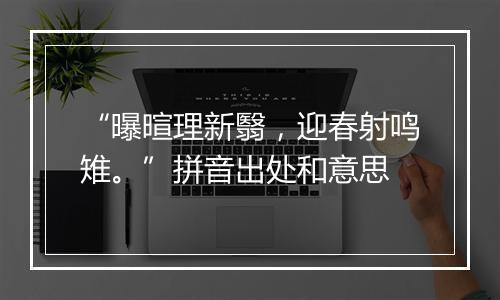 “曝暄理新翳，迎春射鸣雉。”拼音出处和意思