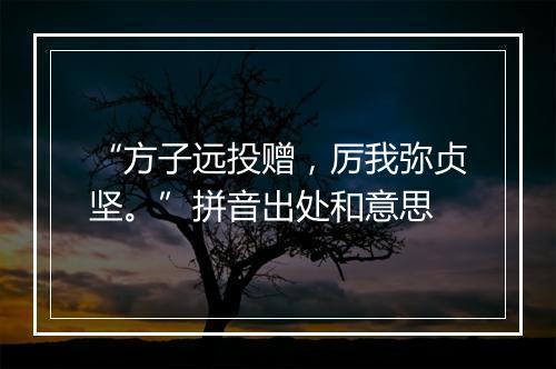 “方子远投赠，厉我弥贞坚。”拼音出处和意思