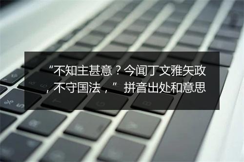 “不知主甚意？今闻丁文雅矢政，不守国法，”拼音出处和意思