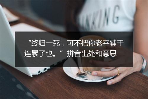 “终归一死，可不把你老宰辅干连累了也。”拼音出处和意思