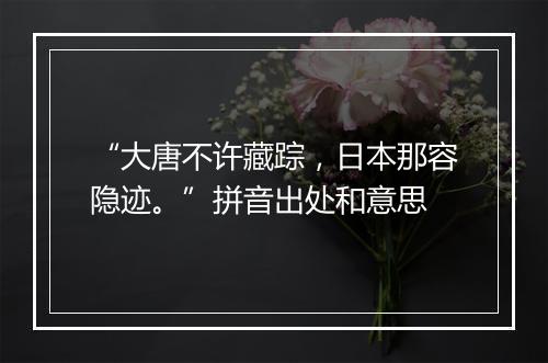 “大唐不许藏踪，日本那容隐迹。”拼音出处和意思